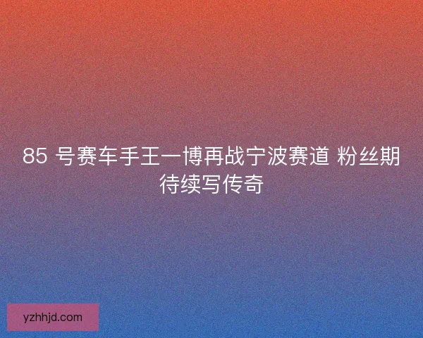 85 号赛车手王一博再战宁波赛道 粉丝期待续写传奇