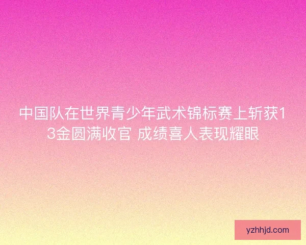 中国队在世界青少年武术锦标赛上斩获13金圆满收官 成绩喜人表现耀眼