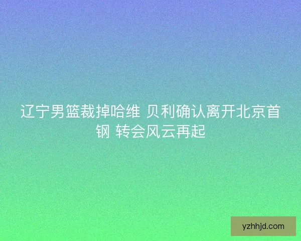 辽宁男篮裁掉哈维 贝利确认离开北京首钢 转会风云再起